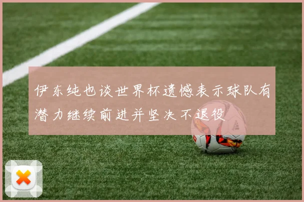 伊东纯也谈世界杯遗憾表示球队有潜力继续前进并坚决不退役
